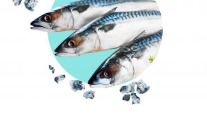 blog1