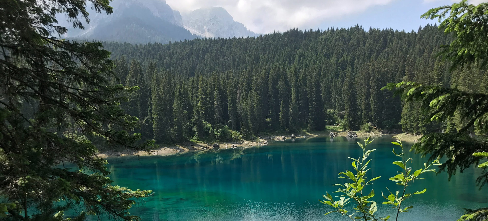 On World Environment Day We Celebrate Plastic Neutrality Initiatives